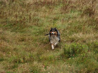 2009-10-03_ntb_9844