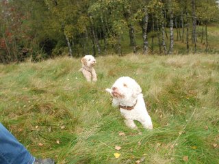2009-10-03_ntb_9846