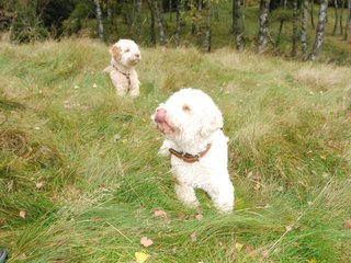 2009-10-03_ntb_9848