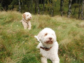 2009-10-03_ntb_9849