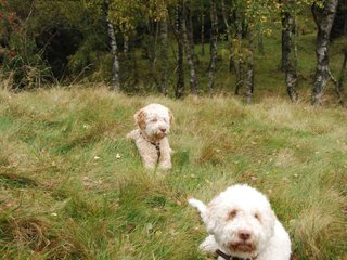 2009-10-03_ntb_9851
