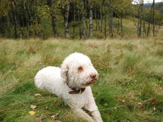 2009-10-03_ntb_9852