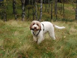 2009-10-03_ntb_9853