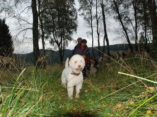 2009-10-03_ntb_9858