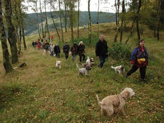 2009-10-03_ntb_9860