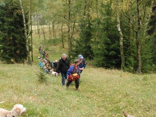 2009-10-03_ntb_9861