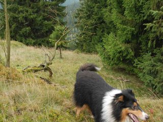 2009-10-03_ntb_9864