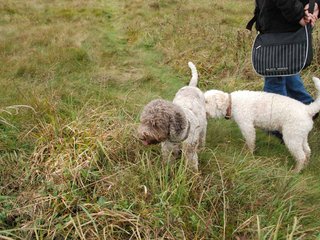 2009-10-03_ntb_9866