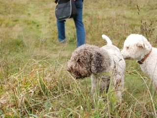 2009-10-03_ntb_9867