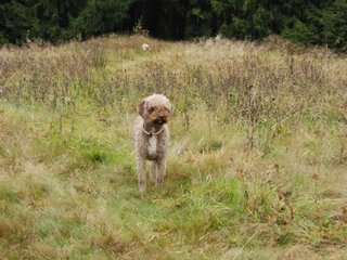 2009-10-03_ntb_9869