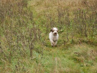 2009-10-03_ntb_9870