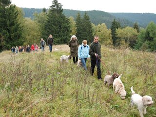 2009-10-03_ntb_9874