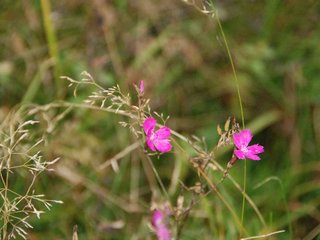 2009-10-03_ntb_9875