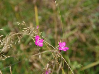 2009-10-03_ntb_9876