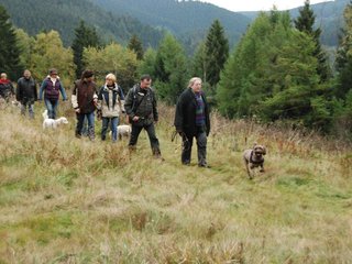 2009-10-03_ntb_9881