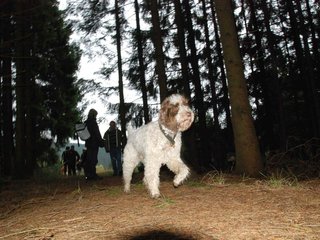 2009-10-03_ntb_9883