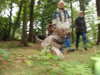 2009-10-03_ntb_9884