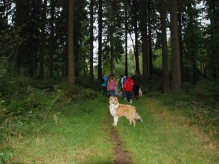 2009-10-03_ntb_9885