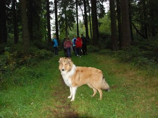 2009-10-03_ntb_9886