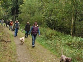 2009-10-03_ntb_9891