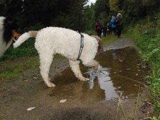 2009-10-03_ntb_9894