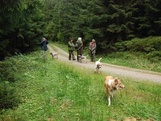 2009-10-03_ntb_9899