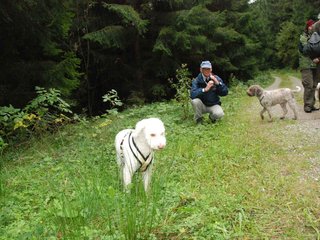 2009-10-03_ntb_9901