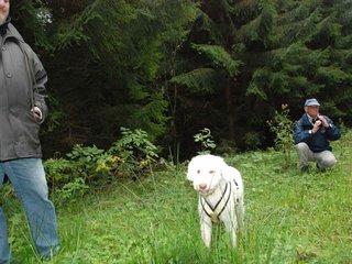 2009-10-03_ntb_9902