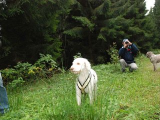 2009-10-03_ntb_9903