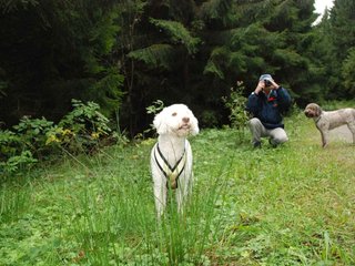 2009-10-03_ntb_9904