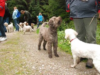 2009-10-03_ntb_9905