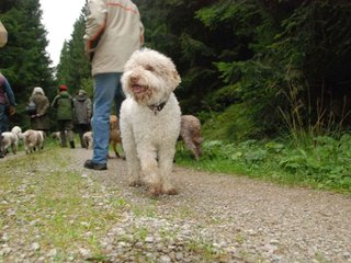 2009-10-03_ntb_9907