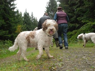 2009-10-03_ntb_9908