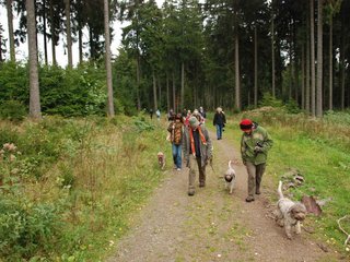 2009-10-03_ntb_9910