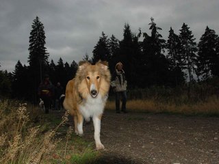 2009-10-03_ntb_9916