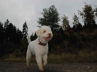 2009-10-03_ntb_9917