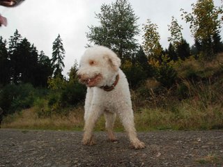 2009-10-03_ntb_9918