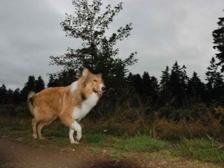 2009-10-03_ntb_9919