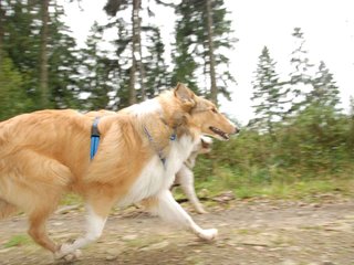 2009-10-03_ntb_9925