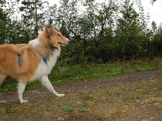2009-10-03_ntb_9926