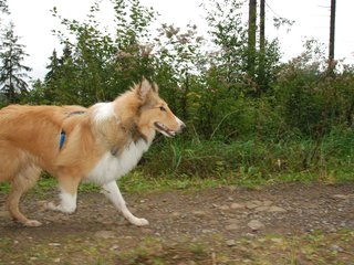 2009-10-03_ntb_9928