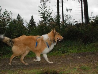 2009-10-03_ntb_9929