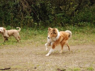 2009-10-03_ntb_0001