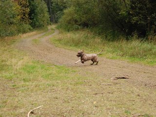 2009-10-03_ntb_0002