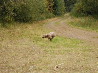 2009-10-03_ntb_0003
