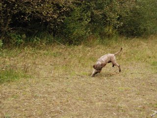 2009-10-03_ntb_0004