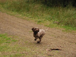 2009-10-03_ntb_0006