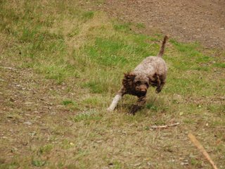 2009-10-03_ntb_0007