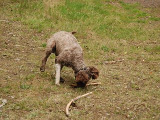 2009-10-03_ntb_0008