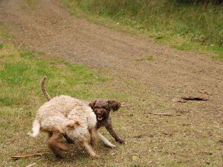 2009-10-03_ntb_0009